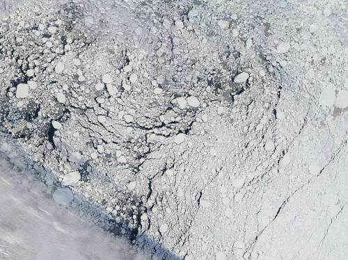 Seasonal Arctic summer ice extent still hard to forecast, study says