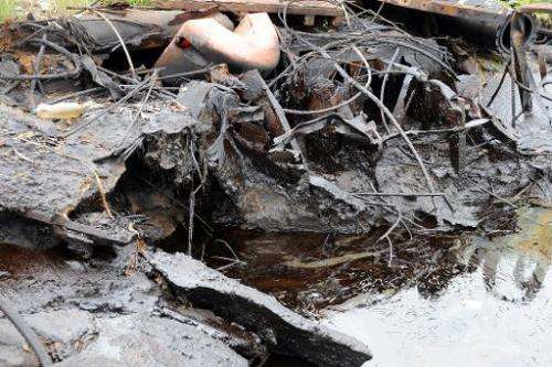 A bank of the Bodo waterway is polluted by spilled crude oil allegedly caused by Shell equipment failure in Ogoniland, Nigeria A