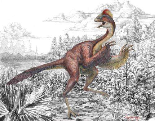 A 'chicken from hell' dinosaur