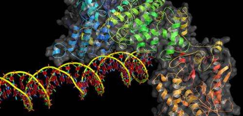 A CRISPR way to edit DNA