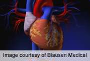 肾上腺性激素水平可预测心脏病风险