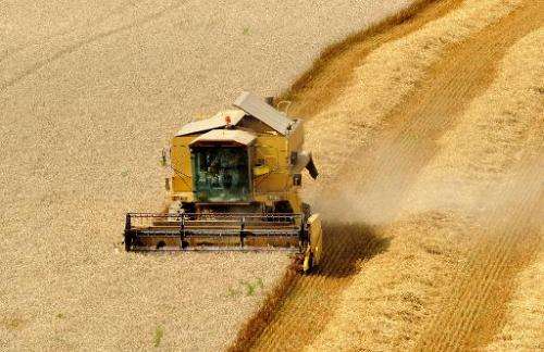 A farmer harvests a wheat field with a combine harvester in Mametz, northern France, on August 13, 2013