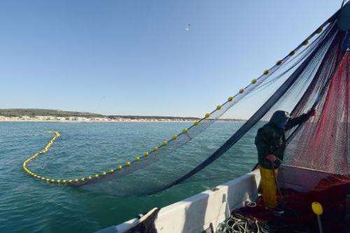 A fisherman brings up the nets from the water off the coast of the Mediterranean village of Gruissan, France on May 5, 2014