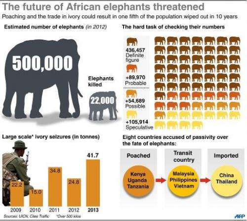 African elephants under threat