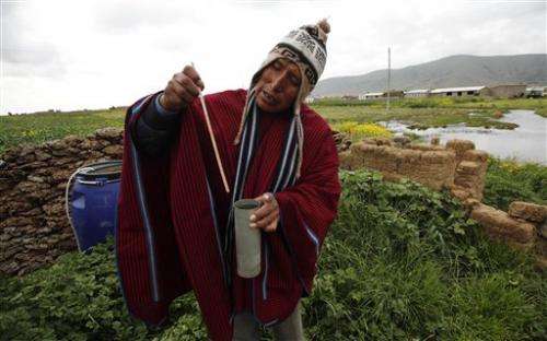 Age-old indicators under stress in high Bolivia