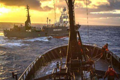 A handout image from Sea Shepherd Australia Ltd showing the Japanese whaling ship Yushin Maru crossing the bow of the Bob Barker