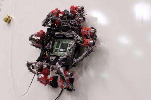A handout photo released on January 2, 2013 by the European Space Agency shows the six-legged Abigaille climbing robot, which is