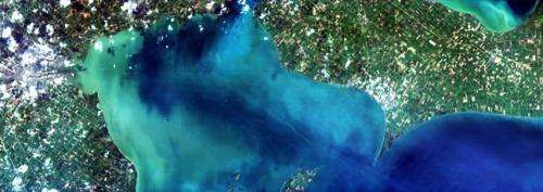 Algal growth a blooming problem Space Station to help monitor