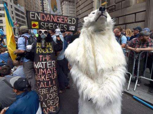 A man dressed as a polar bear takes part in the &quot;Flood Wall Street&quot; demonstrations on September 22, 2014, preceding th
