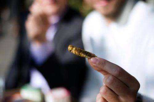A man holds a cracker made of a locust in Paris on October 7, 2013