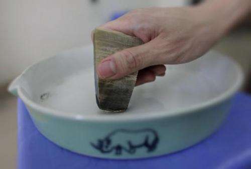 A man shows how to use the ceramic grinding plate with a piece of rhino horn in Hanoi, on April 24, 2012