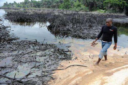 A man walks near spilled crude oil in the waters of the Niger Delta swamps of Bodo, a village in the famous Nigerian oil-produci