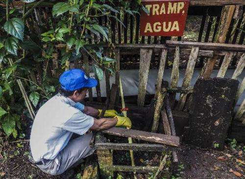 A man washes coffee beans in the wet mill at El Puma farm, some 30km from Jinotega, Nicaragua, on November 20, 2014
