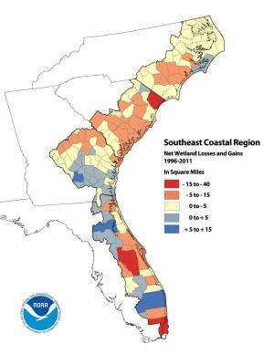 Analysis reveals significant land cover changes in US coastal regions