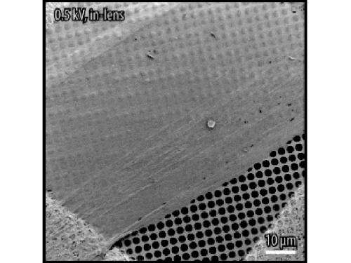 A new synthesis method enables the production of wafer-thin carbon layers
