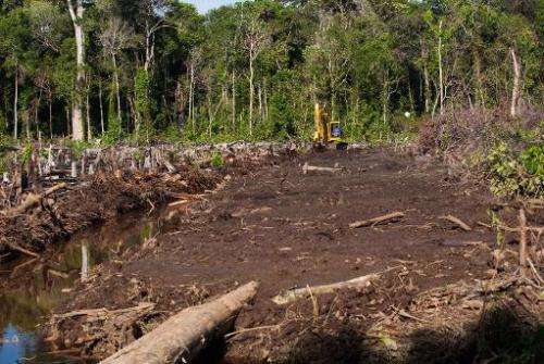 An excavator clears a peatland forest area for a palm oil plantation in Trumon subdistrict, Aceh province, on Indonesia's Sumatr