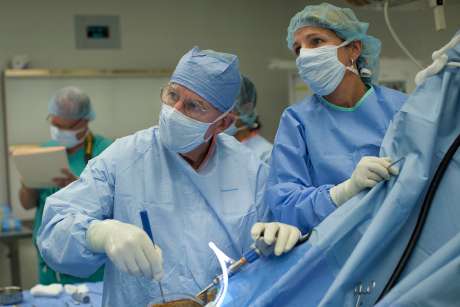 Animal joint surgeries may lead to human repairs