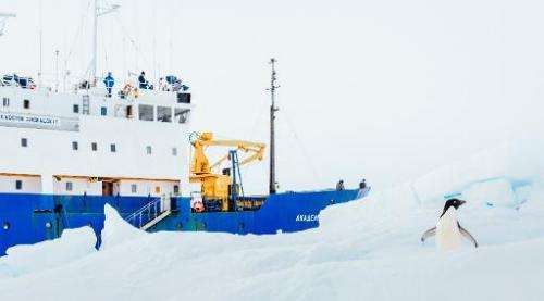 An inquisitive Adelie penguin stands next to the stranded ship MV Akademik Shokalskiy in the Antarctic, on December 28, 2013