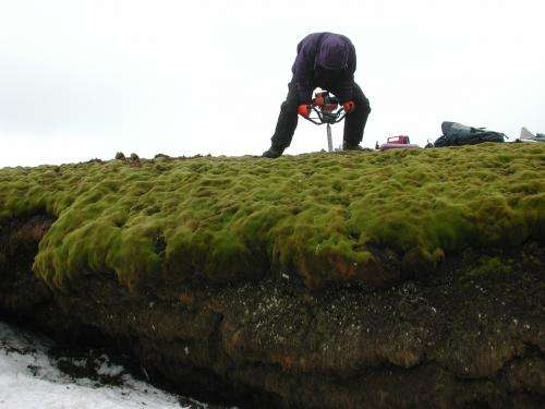 Antarctic moss lives after 1,500+ years under ice