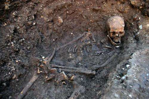 An undated handout picture released on February 4, 2013 from the University of Leicester shows the skeleton of king Richard III 