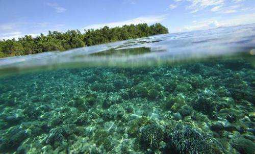 A once-in-a-decade global forum on parks has closed in Sydney calling for an urgent increase in ocean protection and stressing t