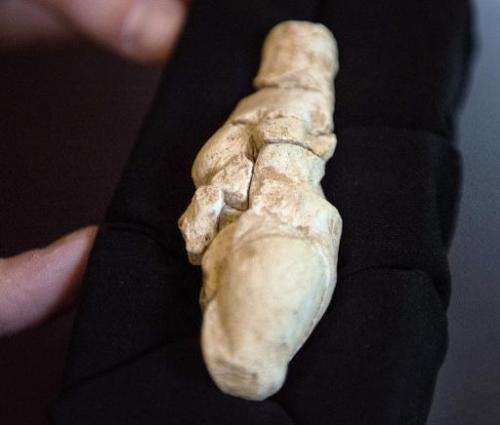 A person points to a 23,000 year-old chalk statue of a woman called the &quot;Venus of Renancourt&quot; which was found at the p