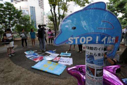 A placard reading 'Stop! Dolphin hunt' is seen during a protest in central Tokyo against the annual dolphin hunt in Taiji, on Au