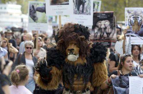 A protester dressed as a lion takes part in a demonstration in Paris as part of the Global March for Elephants, Rhinos and Lions