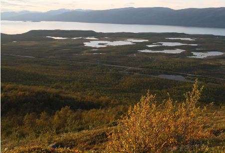 Arctic inland waters emit large amounts of carbon