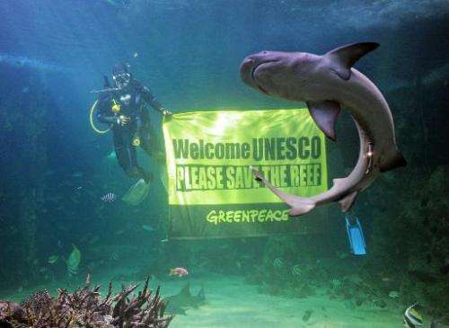 A reef shark (R) swims past as Sydney Aquarium divers unveil a Greenpeace banner urging UNESCO to save the Great Barrier Reef, o