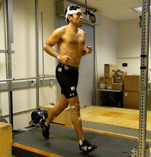 Arm swinging reduces the metabolic cost of running