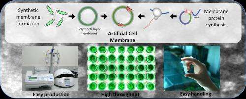 Artificial cell membranes that can speed up drug discovery