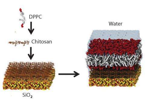 Artificial membranes on silicon