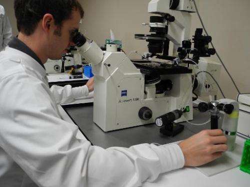 A scientist works at Trans Ova Genetics in Sioux Center, Iowa, June 16, 2014
