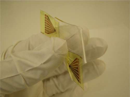 A stretchable highway for light: Researchers build the first circuit with stretchable optical interconnections