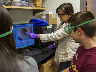 ASU engineer examines brain's inner workings