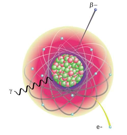 A surprisingly long-lived excited state in a neutron-rich nucleus