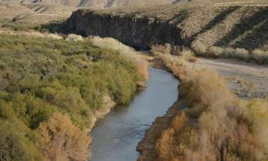 ASU study finds varied fish response to unexpected droughts