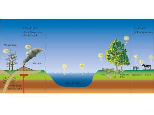 At the methane source of plants