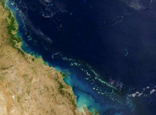 Australia calles a decision by UNESCO to defer listing the Great Barrier Reef as in danger &quot;a win for logic&quot;, but envi