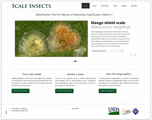A website to help safeguard the United States borders against alien scale insect pests