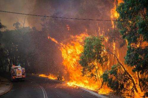 A wildfire in the Stoneville area, a suburb east of Perth in the state of Western Australia, on January 12, 2014