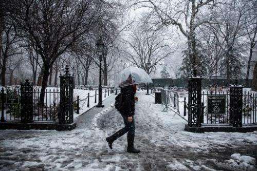 A woman walks through Washington Square Park during a snowstorm on February 3, 2014 in New York City