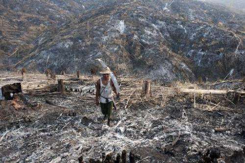 A worker carries a saw where teak trees once grew in the Bago Region of Myanmar after the land was scorched ahead of replanting,