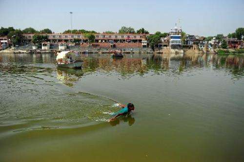 A youth swims in the polluted waters of the river Ganges at Sarsaiya Ghat in Kanpur on June 26, 2014