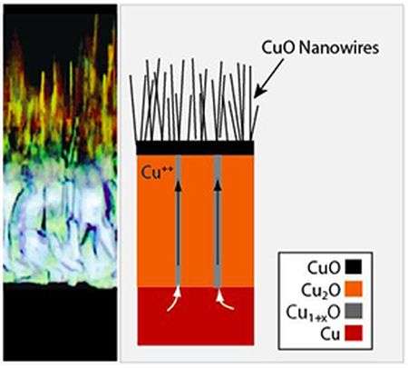 Copper nanowires could become basis for new solar cells