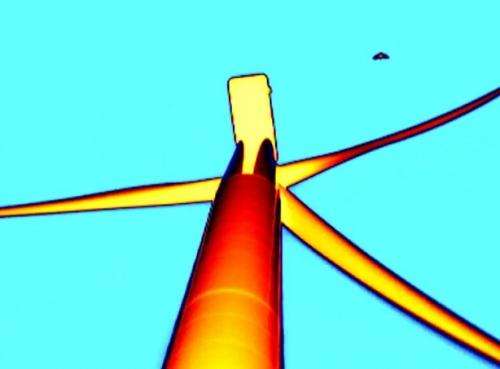 Bats may be mistaking wind turbines for trees
