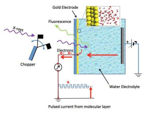 Berkeley Lab study reveals molecular structure of water at gold electrodes