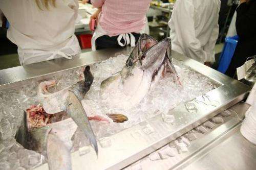 Bigeye tuna is prized for making sashimi in Asia, America and Europe