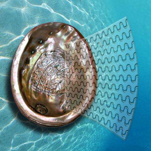 Mollusc shells inspire super-glass